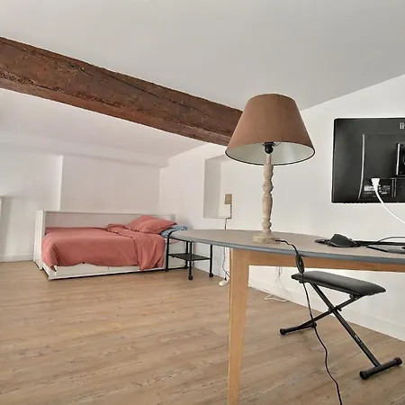 Artist In Le Marais Parijs